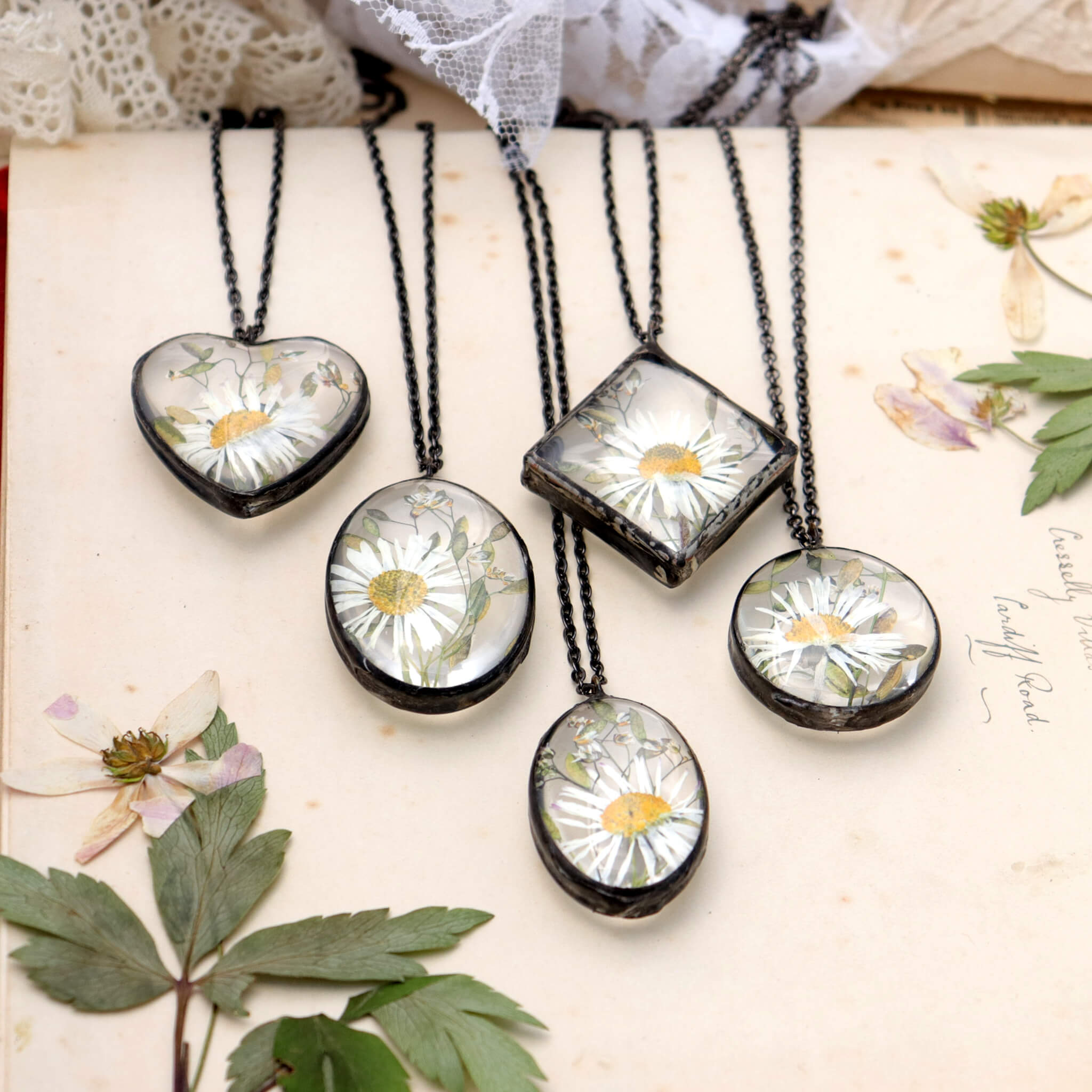 Pressed daisy necklaces lying side by side on an old paper. Pressed anemones on both sides