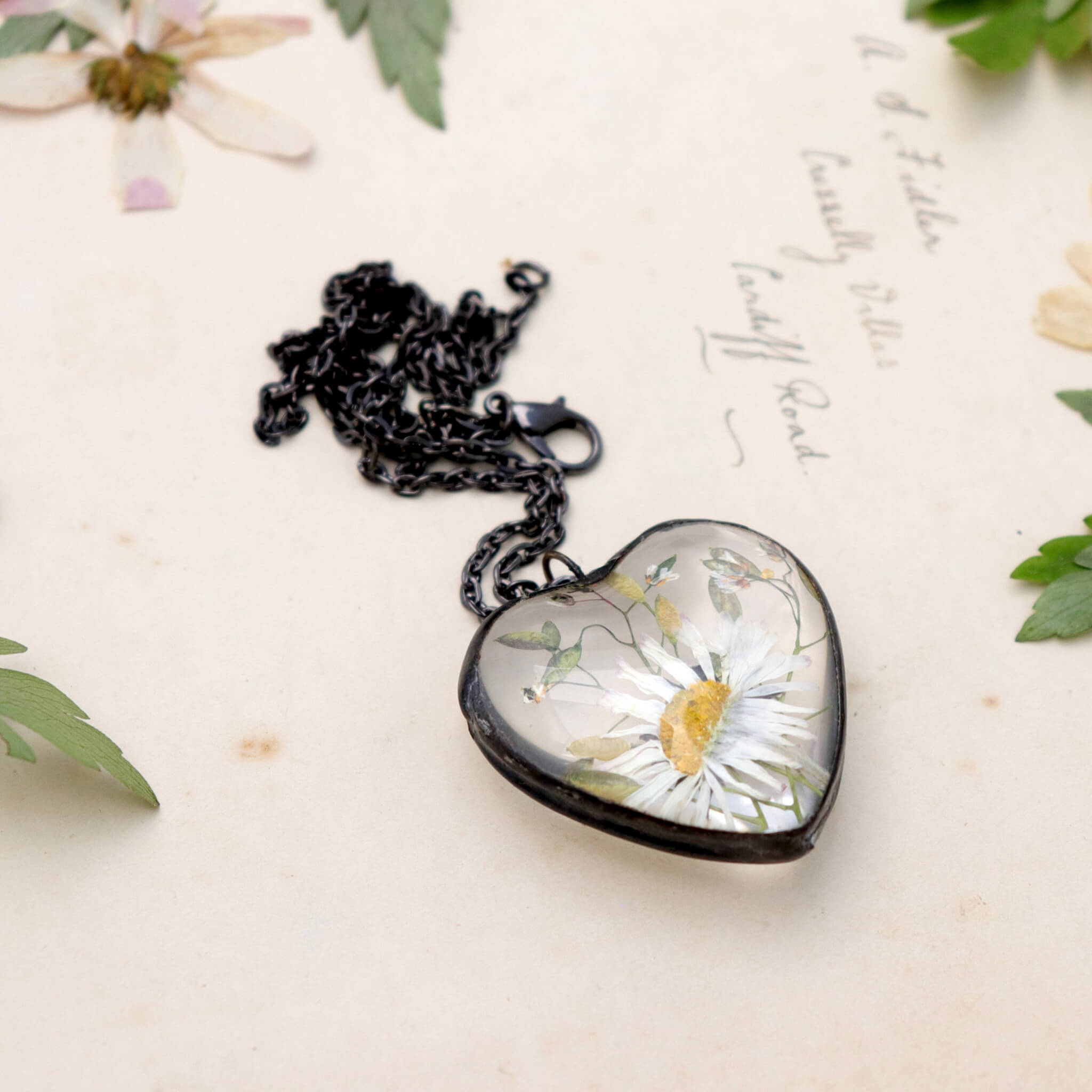 Pressed daisy necklace in heart shape lying on an old paper. Pressed anemones around