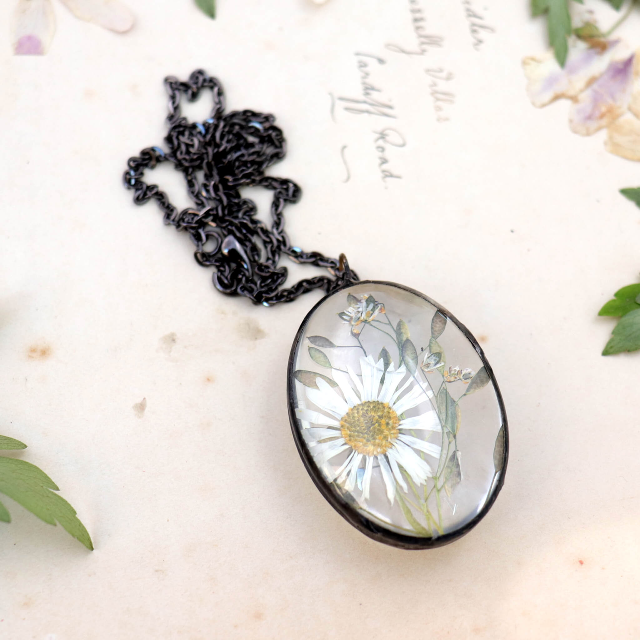 Pressed daisy necklace in oval shape lying on an old paper. Pressed anemones around